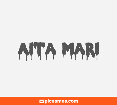 Aita Mari